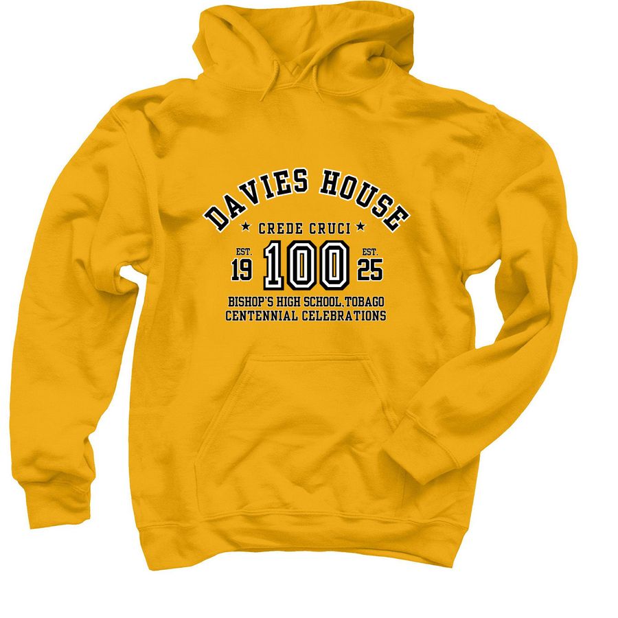 download_1_Davies House Hoodie